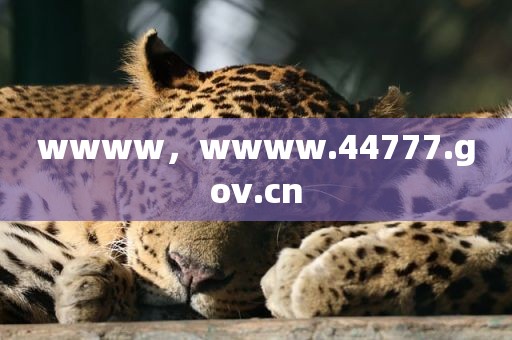 wwww，wwww.44777.gov.cn