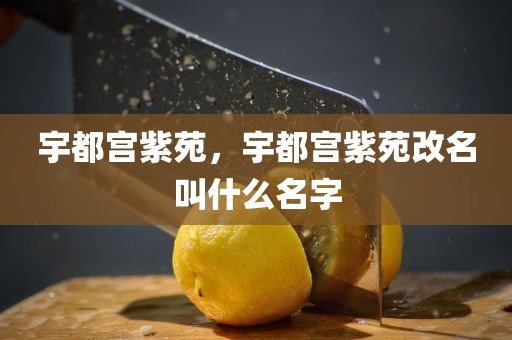 宇都宫紫苑，宇都宫紫苑改名叫什么名字