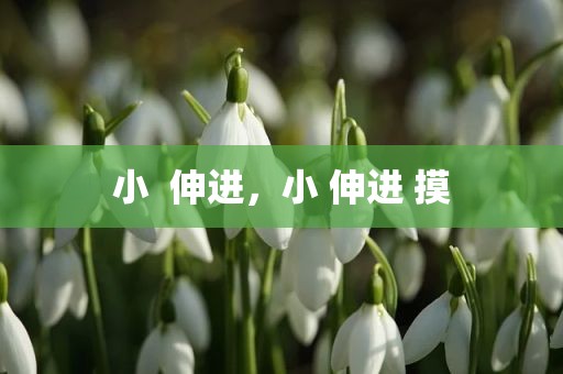 小  伸进，小 伸进 摸