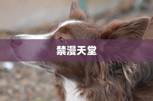 禁漫天堂