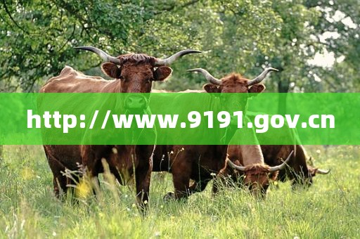 http://www.9191.gov.cn