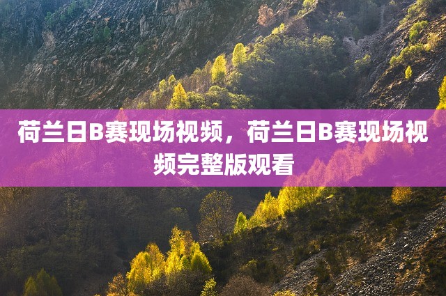 荷兰日B赛现场视频，荷兰日B赛现场视频完整版观看