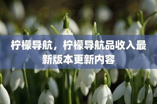 柠檬导航，柠檬导航品收入最新版本更新内容