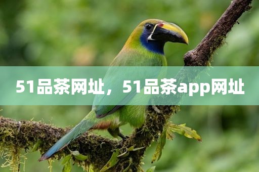51品茶网址，51品茶app网址