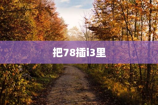 把78插i3里