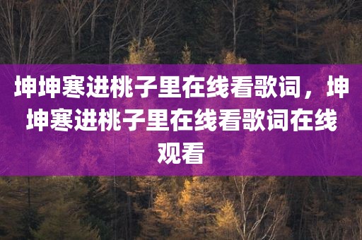 坤坤寒进桃子里在线看歌词，坤坤寒进桃子里在线看歌词在线观看