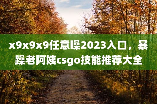 x9x9x9任意噪2023入口，暴躁老阿姨csgo技能推荐大全