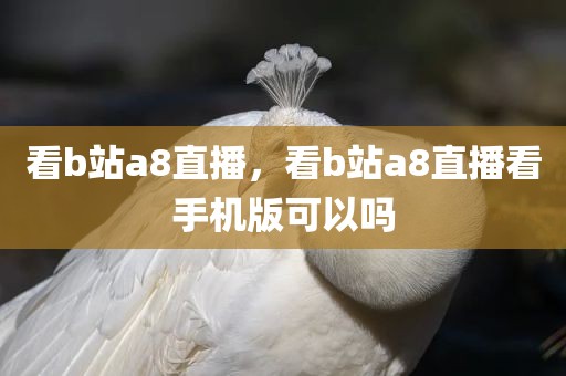 看b站a8直播，看b站a8直播看手机版可以吗