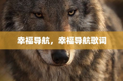 幸福导航，幸福导航歌词
