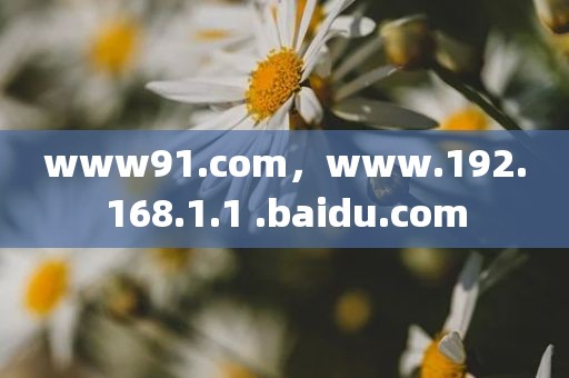 www91.com，www.192.168.1.1 .baidu.com