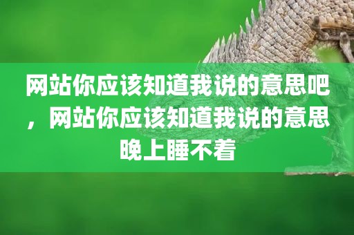 网站你应该知道我说的意思吧，网站你应该知道我说的意思晚上睡不着