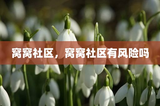 窝窝社区，窝窝社区有风险吗