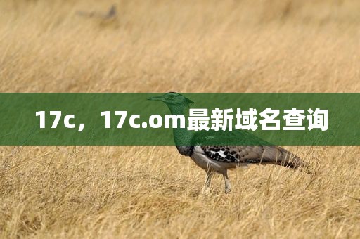 17c，17c.om最新域名查询