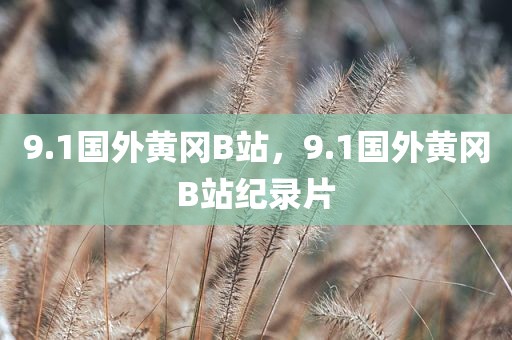 9.1国外黄冈B站，9.1国外黄冈B站纪录片