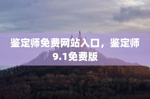 鉴定师免费网站入口，鉴定师9.1免费版