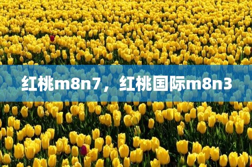 红桃m8n7，红桃国际m8n3