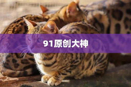 91原创大神