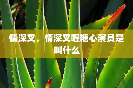 情深叉，情深叉喔糖心演员是叫什么
