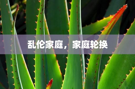 乱伦家庭，家庭轮换