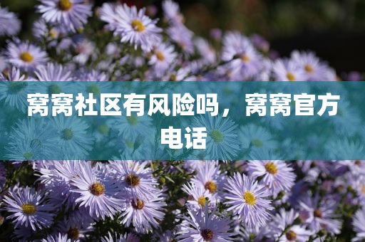 窝窝社区有风险吗，窝窝官方电话