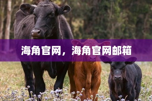 海角官网，海角官网邮箱
