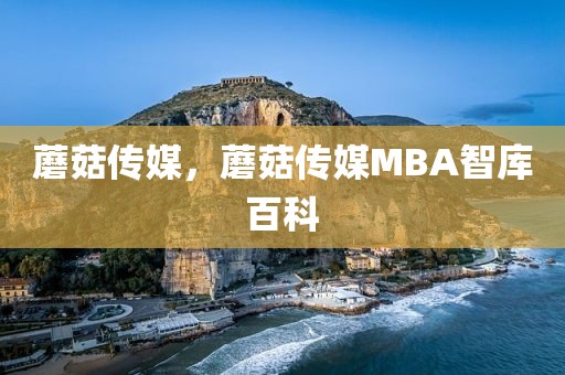 蘑菇传媒，蘑菇传媒MBA智库百科