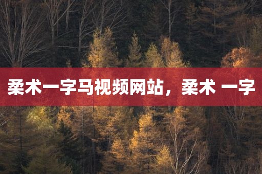 柔术一字马视频网站，柔术 一字