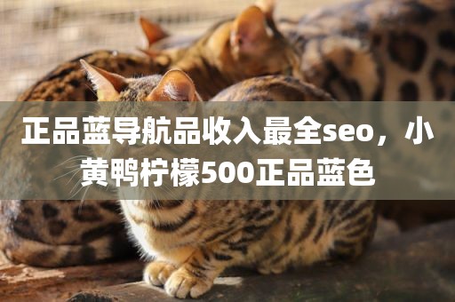 正品蓝导航品收入最全seo，小黄鸭柠檬500正品蓝色