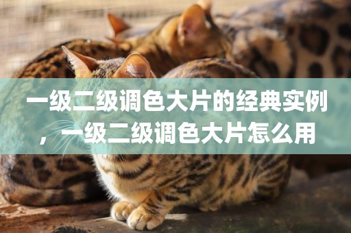 一级二级调色大片的经典实例，一级二级调色大片怎么用