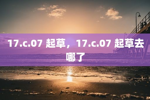 17.c.07 起草，17.c.07 起草去哪了