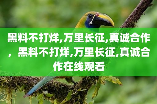 黑料不打烊,万里长征,真诚合作，黑料不打烊,万里长征,真诚合作在线观看
