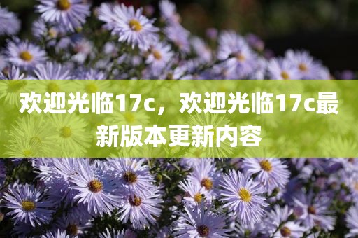 欢迎光临17c，欢迎光临17c最新版本更新内容