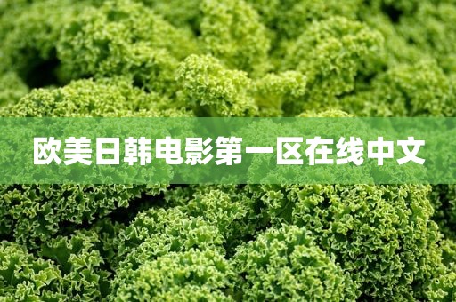 欧美日韩电影第一区在线中文