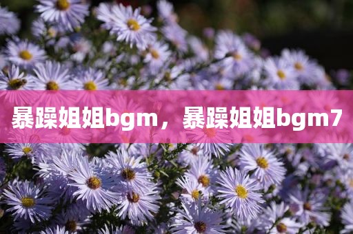 暴躁姐姐bgm，暴躁姐姐bgm7