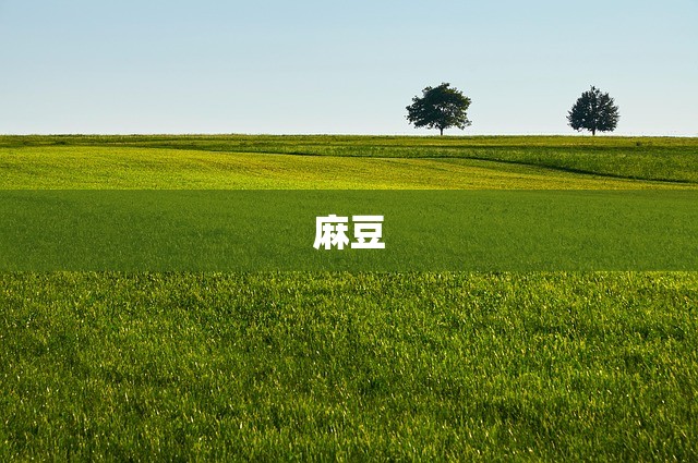 麻豆