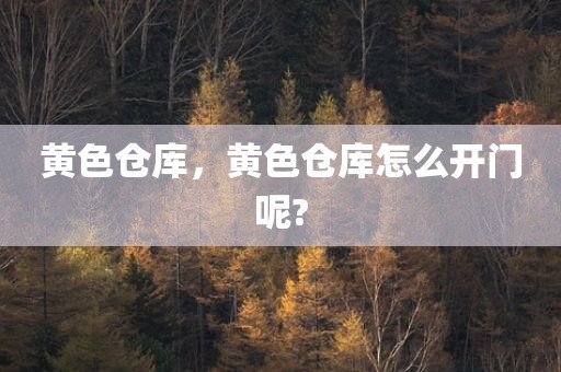 黄色仓库，黄色仓库怎么开门呢?