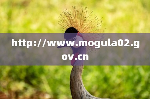 http://www.mogula02.gov.cn