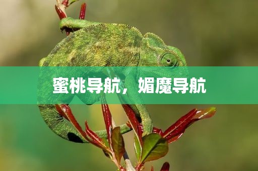 蜜桃导航，媚魔导航