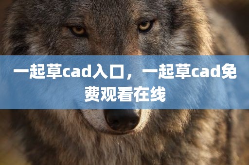 一起草cad入口，一起草cad免费观看在线