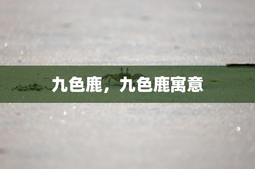 九色鹿，九色鹿寓意