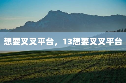 想要叉叉平台，13想要叉叉平台