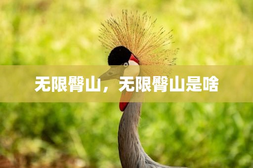 无限臀山，无限臀山是啥
