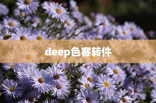 deep色客转件