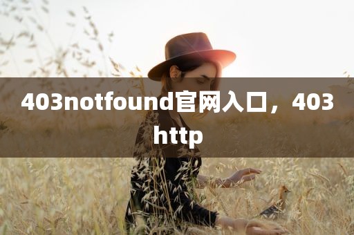 403notfound官网入口，403http