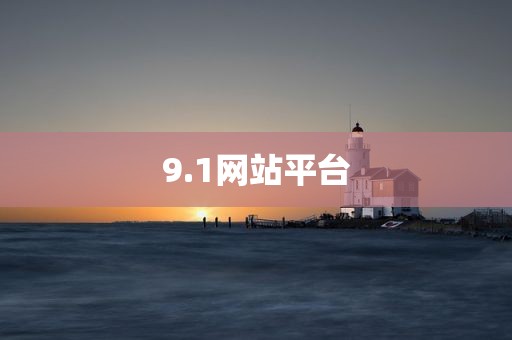 9.1网站平台