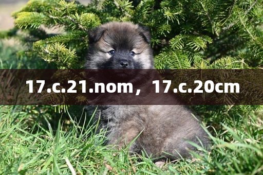 17.c.21.nom，17.c.20cm