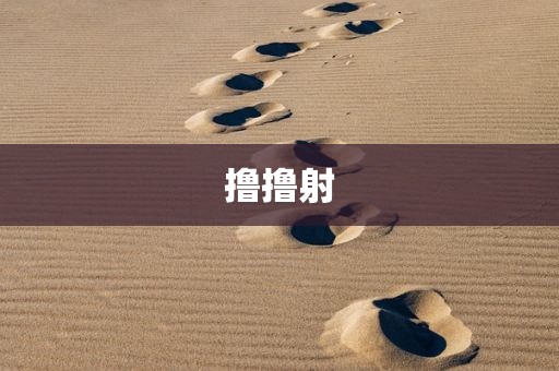 撸撸射