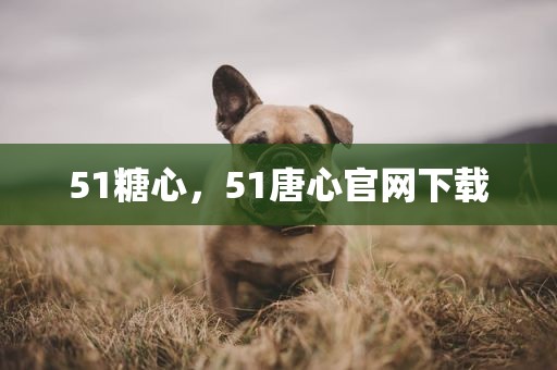 51糖心，51唐心官网下载