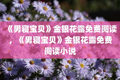 《男寝宝贝》金银花露免费阅读，《男寝宝贝》金银花露免费阅读小说