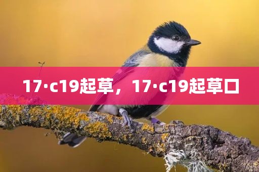 17·c19起草，17·c19起草口